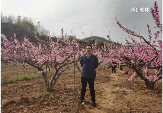 步履不停，共赴春光